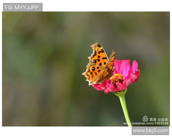 张伟的排球人生深度对话：从青涩少年到世界冠军的心路历程